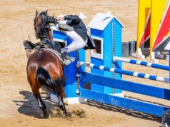 Sprzedaż aut spada z wysokiego konia, ale te marki i modele trzymają się mocno