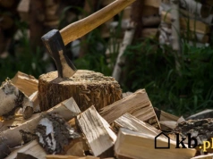To drewno kosztuje grosze, prawie nie dymi a grzeje jak grab. Coraz więcej ludzi je wybiera