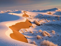 Niezwykłe zjawisko na Saharze. Występuje coraz częściej