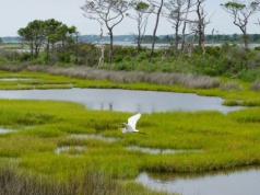 Zagadka metanu. Dlaczego w czasie pandemii jego poziom w atmosferze gwałtownie wzrósł?