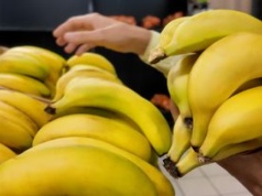 Kieruj się długością ogonka. Jak wybrać najlepsze banany w sklepie?