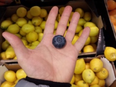 Dobra w cukrzycy, świetna dla wątroby. Dziś w dyskoncie w promocji