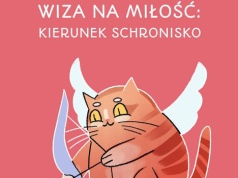 Ponad 150 kotów i kilkadziesiąt psów do adopcji