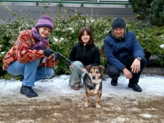 Ponad 150 psów czeka w toruńskim schronisku na nowy dom. Placówka apeluje o adopcje