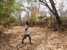 Komunikujący się z ptakami ludzie wykształcili różne „dialekty”