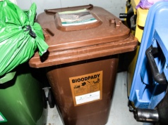 Od lipca nowe zasady w segregacji śmieci. Tutaj pożegnają brązowe worki. Odpady prosto do kubła