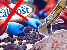 Ukraiński gigant w Kaliszu upadł. Po zwolnieniach wjechały buldożery