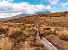 Przygoda życia! 😍 Odwiedź Kalifornię 🏄 i ruszaj na antypody 🌿 Los Angeles i Auckland w jednej podróży za 3766 PLN ✈️