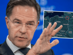 Niepokojące informacje z Niemiec. Wskazali za Polskę. "Pół roku"