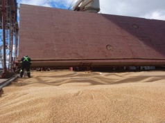 Ceny zbóż i oleistych odzwierciedlają sytuację na rynku. Trwa strategia bieżącego zaopatrzenia