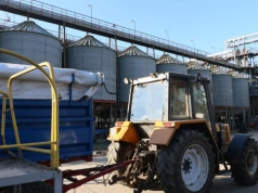 Polska pszenica zbyt droga na eksport. Rośnie presja na magazyny i portfel!