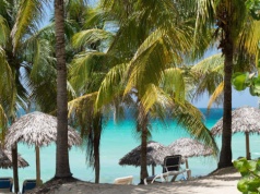 MSZ ostrzega Polaków przed podróżą. Rajska wyspa pogrążona w chaosie, brakuje żywności i leków