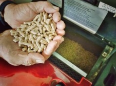 Stracił 20 tys. zł. Tak Polacy są oszukiwani na pellecie