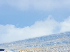 Ostrzeżenie dla Arktyki. Czeka ją inwazja aż 2 tys. gatunków