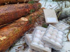 Gorzki finał Tłustego Czwartku. Słodka góra śmieci w lasach Wańkowej