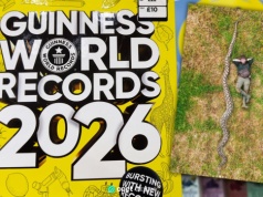 To najdłuższy wąż na świecie. Trafił do Księgi Rekordów Guinnessa 2026