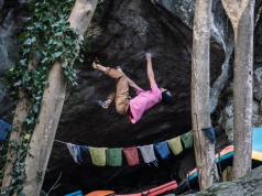 Legendarna „Gioia” 8C+ dla Stefano Ghisolfiego