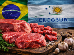 Wołowina z Mercosur już w Europie. Co to oznacza dla polskich gospodarstw?