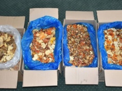 Nietypowe odkrycie na granicy. Chciał przemycić suszone muchomory