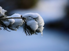 BdPN ostrzega. Trudne warunki na szlakach w Bieszczadach z powodu odwilży