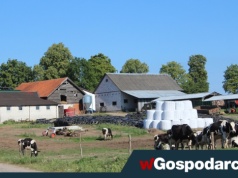 Koniec kar za legalną pracę na wsi?