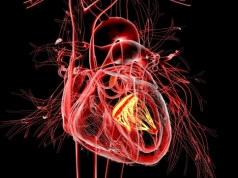 Wady zastawek serca. Jakie są objawy? Kardiolodzy: Nie można ich bagatelizować!