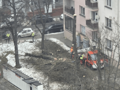 12-metrowa ściana wyrośnie parę metrów od okien bloku mieszkalnego w Rzeszowie