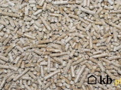 Jedni grzeją żwirkiem dla kota, inni kukurydzą i zbożem. Tak Polacy walczą z drogim pelletem