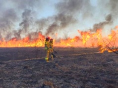 Aż 30 000 zł mandatu i utrata dopłat z ARiMR. Nowe kary za wypalanie traw