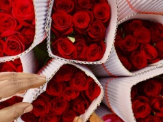 Czy Twoja miłość to tylko trik natury? Sprawdź, co mówi ekspert