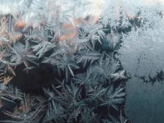 Po wiośnie ani śladu. Nadchodzi fala siarczystych mrozów