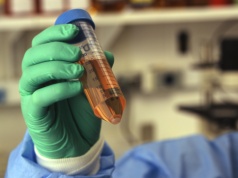 Rak trzustki w odwrocie? Już niedługo może nie być problemem