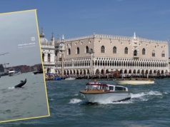 Zadomowił się w wodach w Wenecji. Mimmo pod stałą obserwacją