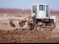 Jak z MTZ-a zrobić mini DT-a i po co? Historia pewnego ciągnika