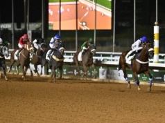 Prestiż, emocje i 20 mln dolarów w puli. Polsat Sport pokaże najwyżej dotowany wyścig świata