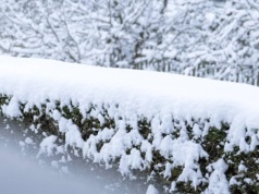 Ponowne uderzenie zimy! Ostrzeżenie IMGW przed śniegiem