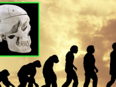 Brodę mają tylko ludzie. Odkryli jej ewolucyjne pochodzenie