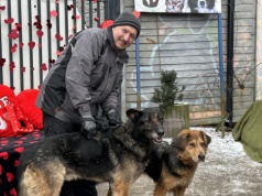 SpaceroweLOVE w konińskim schronisku. Kolejka chętnych do pomocy