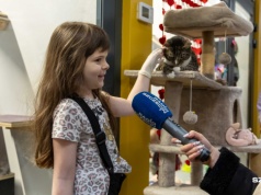 Zakochać się od pierwszego wejrzenia można w.... podopiecznych szczecińskiego schroniska dla bezdomnych zwierząt [ZDJĘC…