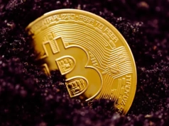 Eksperci mieli rację co do Bitcoina? „Prawdziwy dołek może być jeszcze przed nami”. To może być punkt zwrotny