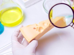 Wegański ser z Wrocławia podbije Europę? Nadchodzi kulinarna rewolucja