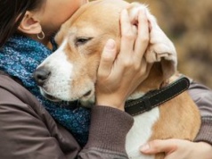 Najgorszy gest w stronę psa. Nie lubi tego