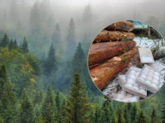 Nielukrowany finał Tłustego Czwartku. Tak skończyło kilka paczek pączków