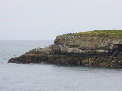 Wyspa w Walii za cenę mieszkania – prywatny raj na wyciągnięcie ręki