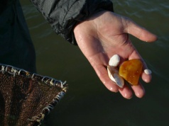 Bałtyk wyrzuca "płonące bursztyny". Pomyłka może cię kosztować życie. Eksperci ostrzegają