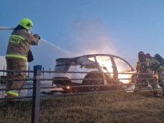 Pożary elektryków w 2025 roku. ‘Marginalna część’