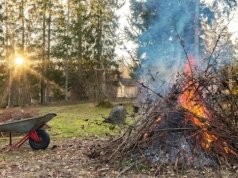 Mandat do 5000 zł to nie straszak – to realna kara. Nie rób tego na działce