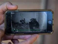 Usłyszał huk. Tajemniczy lokator przyprawił go o dreszcze