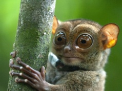 To coraz popularniejsze miejsce wyjazdu Polaków. Jakie ma zwierzęta?