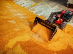 Lepiej marznąć niż palić zbożem? Ministerstwo krytycznie o pomyśle środowiska rolniczego